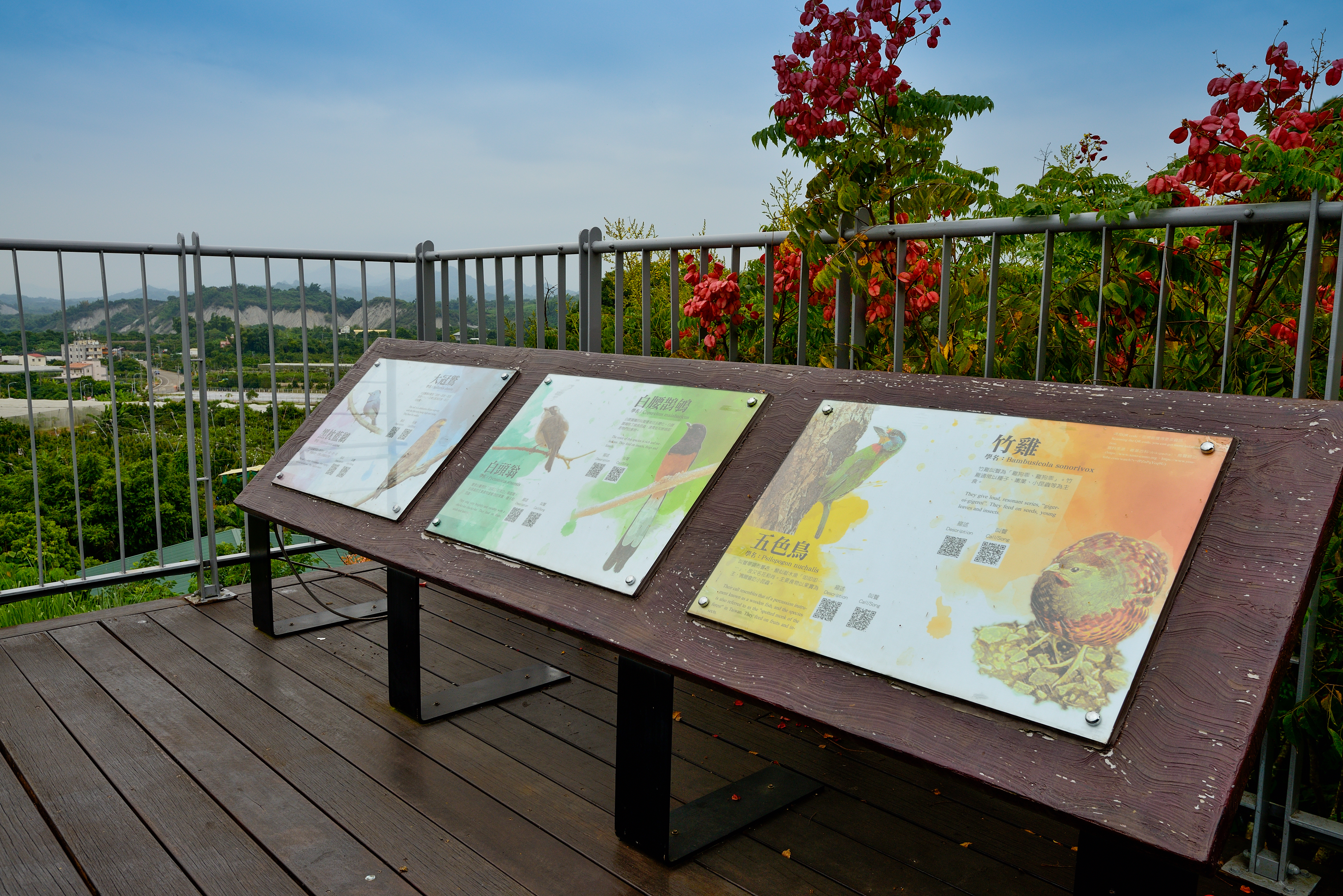 星象館觀景平台